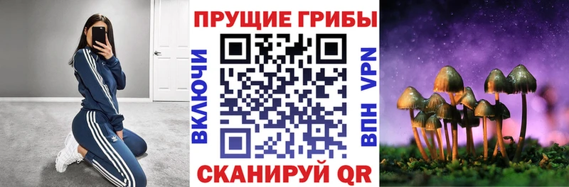 Псилоцибиновые грибы мицелий  OMG   Сольвычегодск 